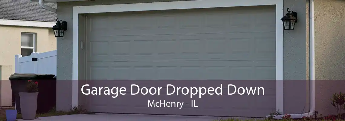 Garage Door Dropped Down McHenry - IL