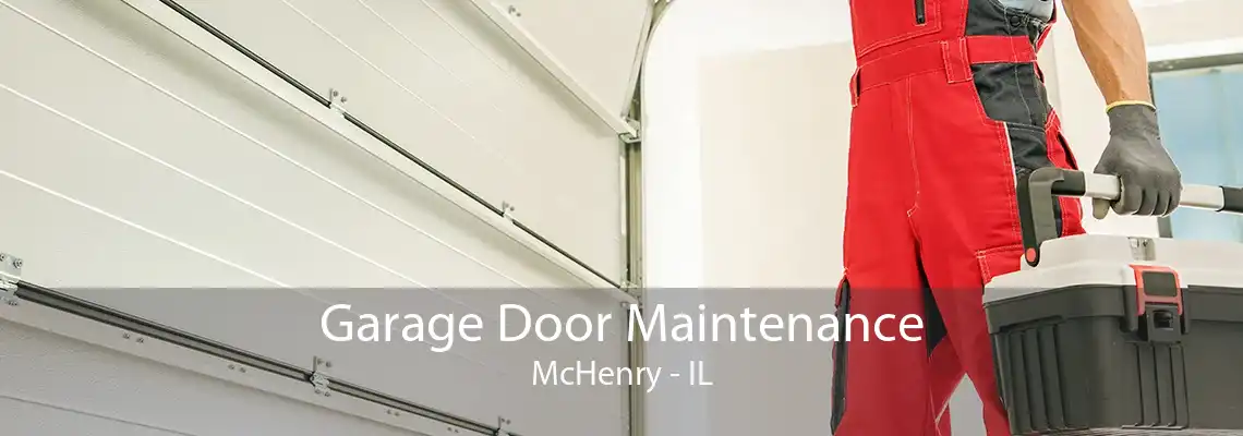 Garage Door Maintenance McHenry - IL