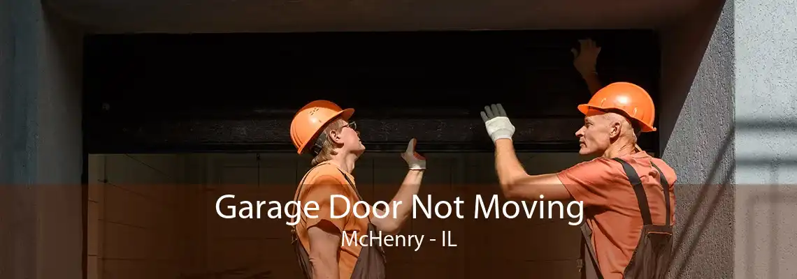 Garage Door Not Moving McHenry - IL