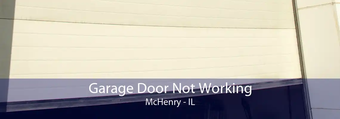 Garage Door Not Working McHenry - IL