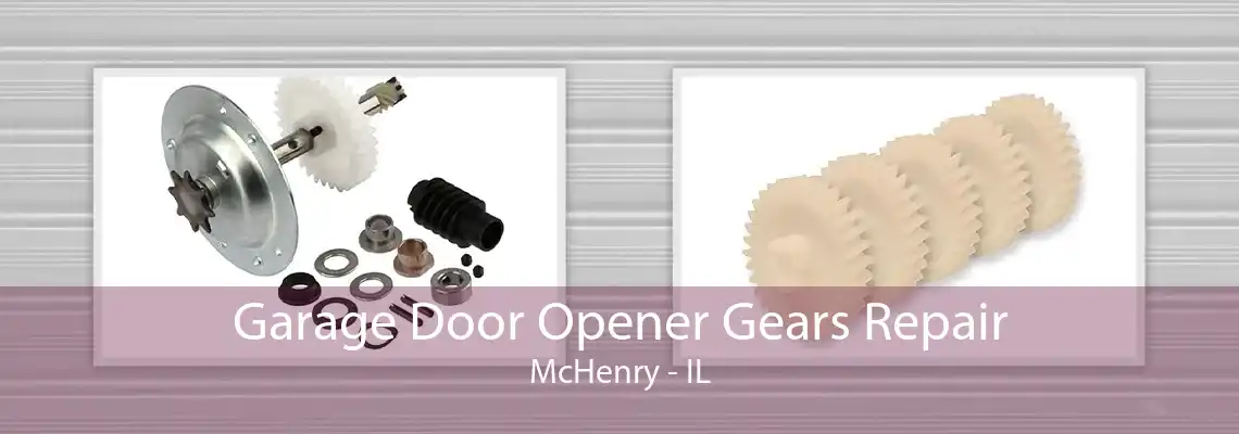 Garage Door Opener Gears Repair McHenry - IL