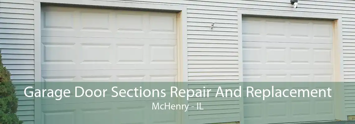 Garage Door Sections Repair And Replacement McHenry - IL