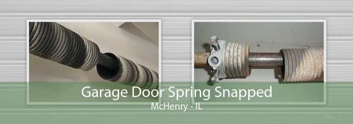 Garage Door Spring Snapped McHenry - IL