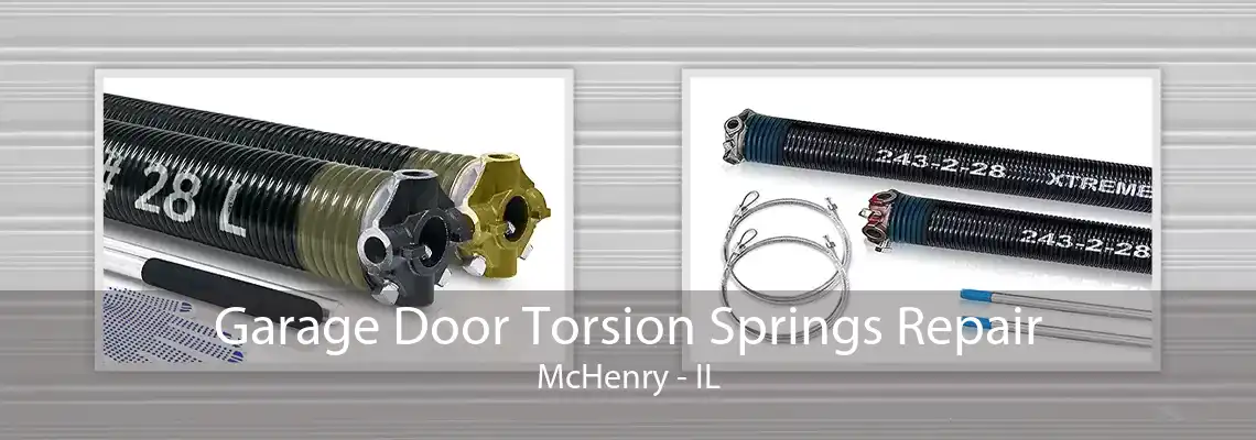 Garage Door Torsion Springs Repair McHenry - IL