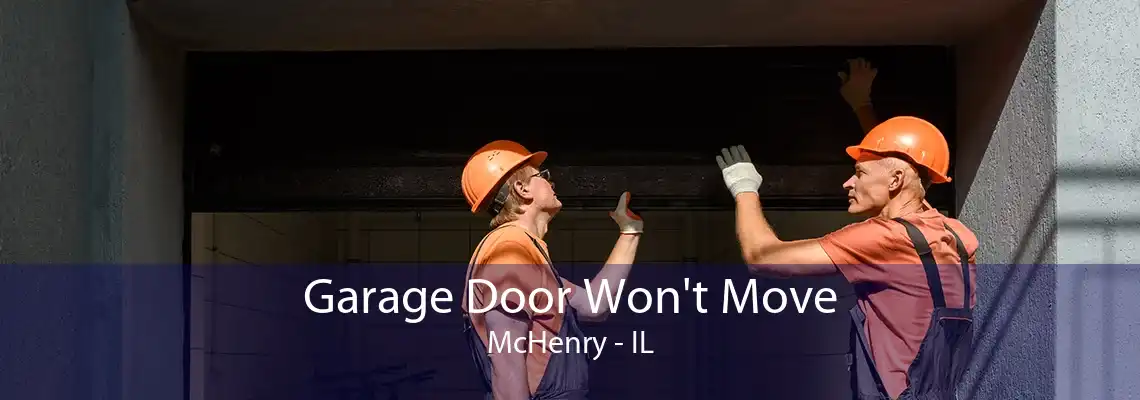 Garage Door Won't Move McHenry - IL