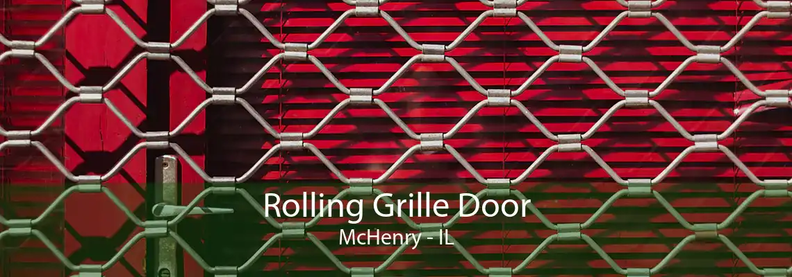 Rolling Grille Door McHenry - IL